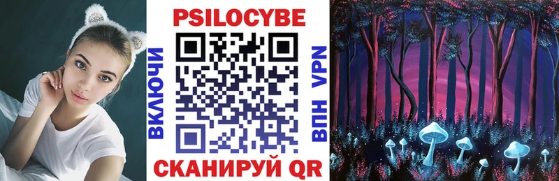 Псилоцибиновые грибы Psilocybine cubensis  блэк спрут зеркало  Новомосковск 