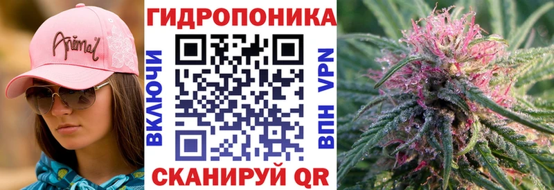 Бошки Шишки VHQ Новомосковск